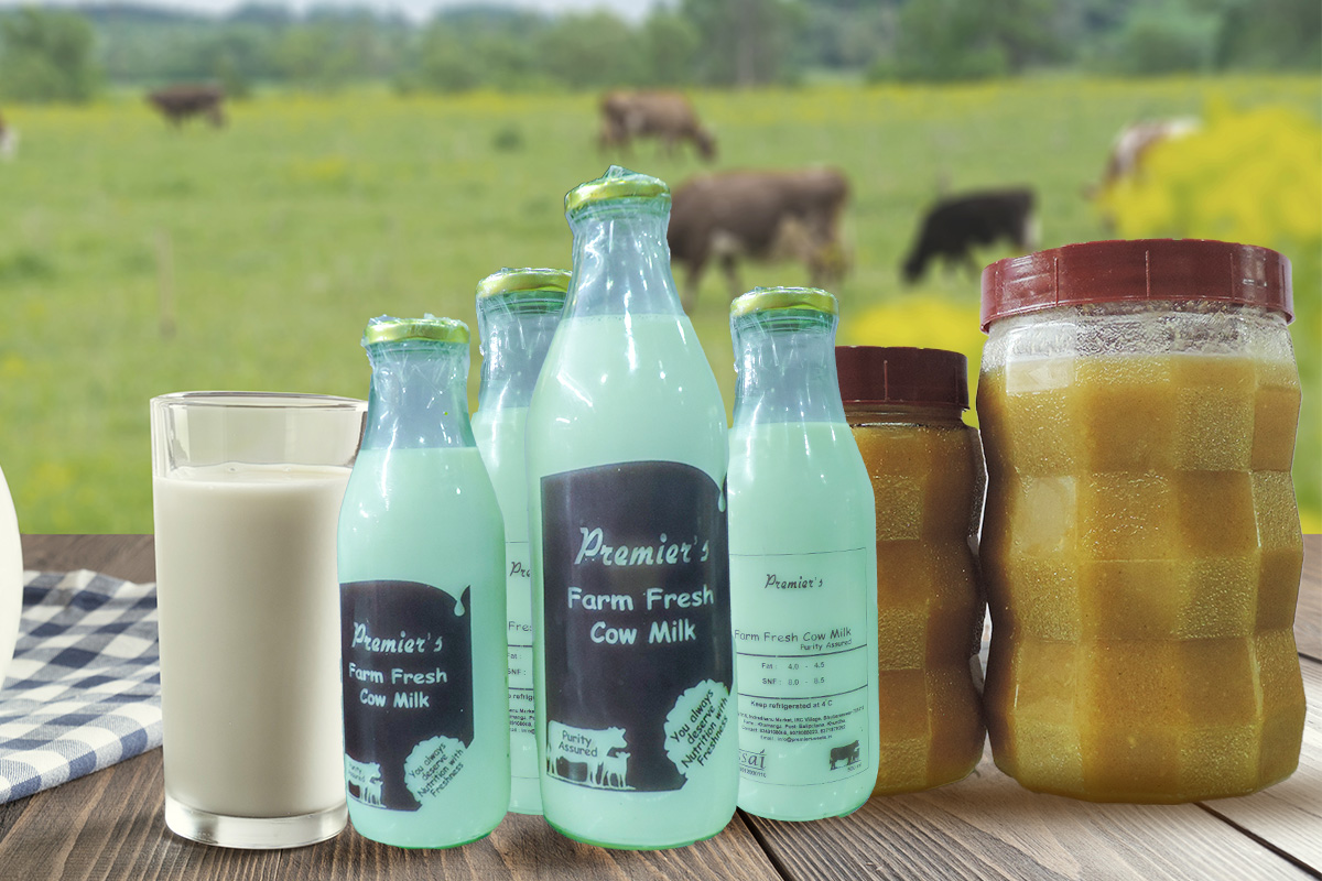 premier sweets milk products